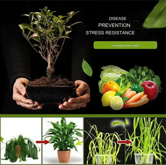 SOIL BOOSTER™ – Natural Fertilizer for Strong Roots, Faster Growth & Big Harvests 🌾